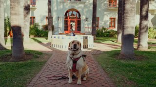Supporting your Success at CSUCI