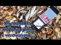 Ультралайт...мормышинг.. с чего начать...