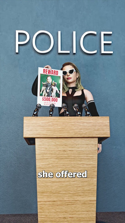 They Stole Lady Gaga’s Dogs 😮
