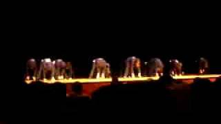 ~~Homecoming Stepshow U of M 2008~~Pi Phi & Lambda Chi