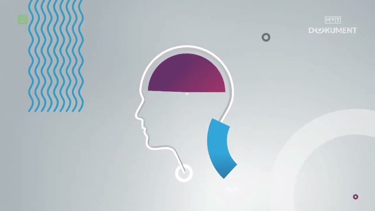 MVT Dokument - Oprawa Graficzna (2020-dziś)