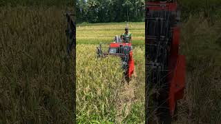 Mini Combined Harvester Randeepa World Dr12
