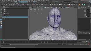 Celebrity setup corrective joint Wealth