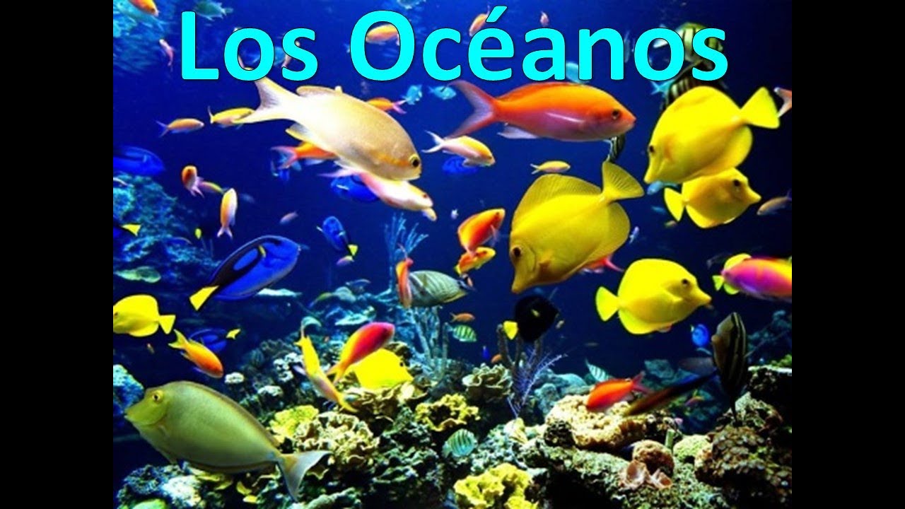 Los Océanos YouTube Los Océanos YouTube