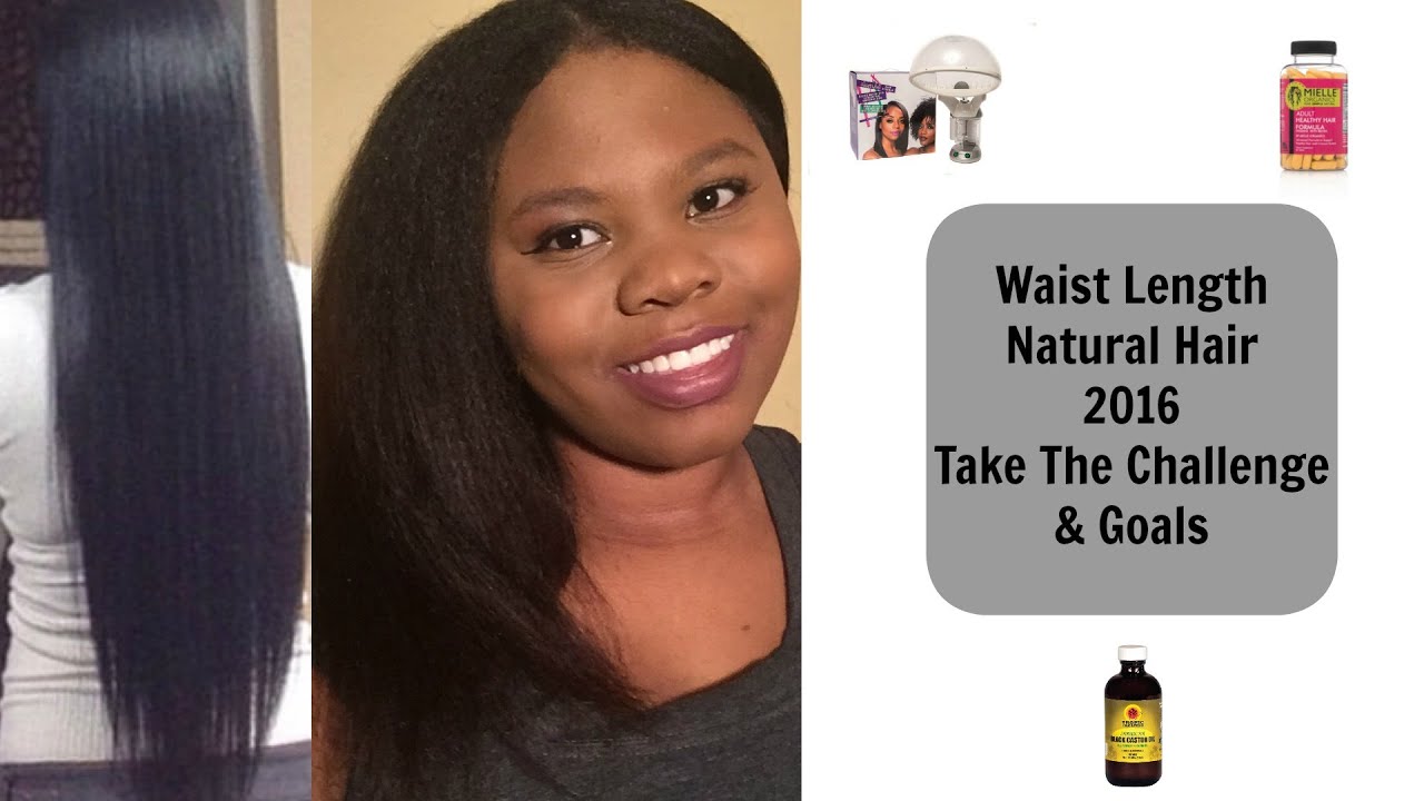 Waist Length Natural Hair 2016 Phase 1 Take The Challenge And