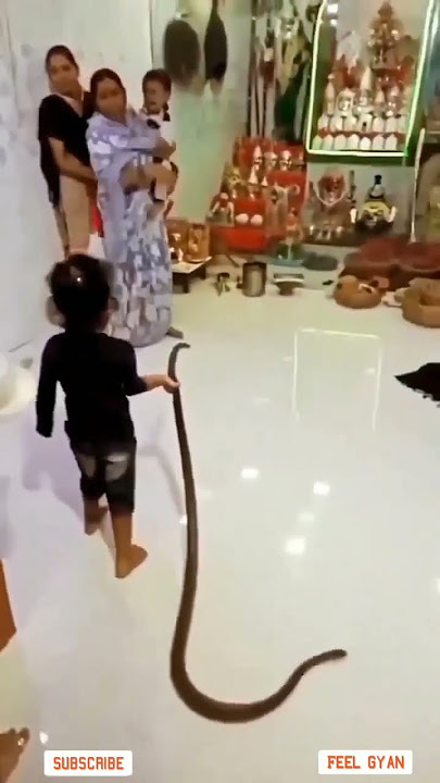 Omg 😱 This child playing with snake 🐍 #shorts