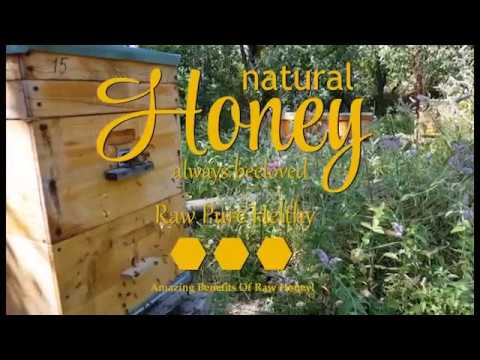 Natural Raw Honey • ნატურალური თაფლი • Натуральный мёд