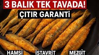 Karadeniz Usulü 3 Çeşit Balık Kızartma Hamsii̇stavritmezgit En Kolay Ve En Lezzetli Yöntem