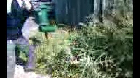 hacking down a huge thistle