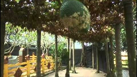 Viếng mộ nhà văn hóa tâm linh Nguyễn Đức Cần (cụ Trưởng Cần)