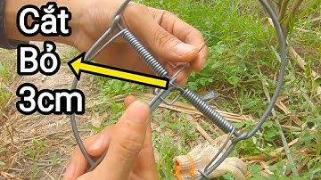 Mẹo nhỏ bẫy bìm bịp siêu nhạy hiệu quả 100% | Linh Gồm TV