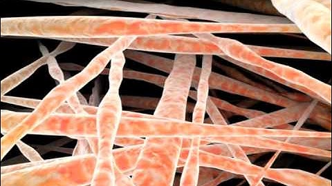 LifeNet: Matracell Biotechnology