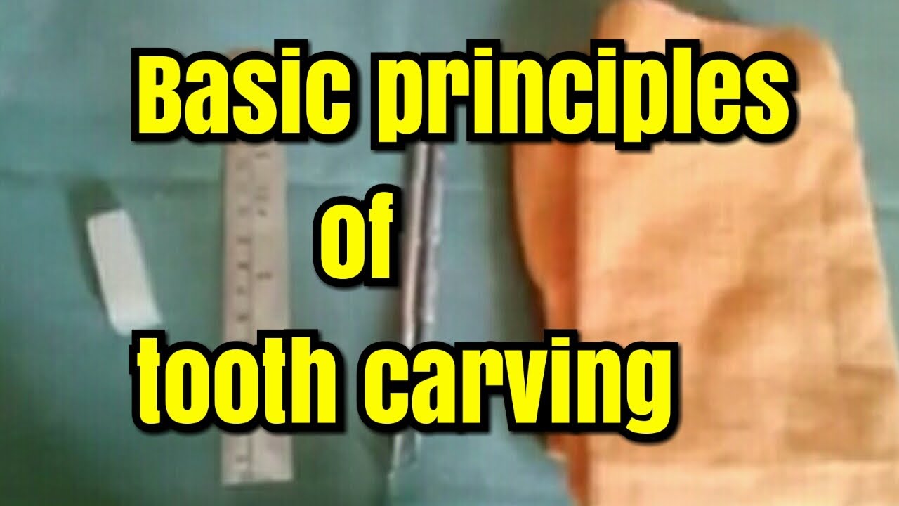 Basic principles of tooth carvingbasic things used in tooth carvingDr