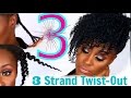 3 Strand Twist Out ft. Entwine Couture | Shlinda1
