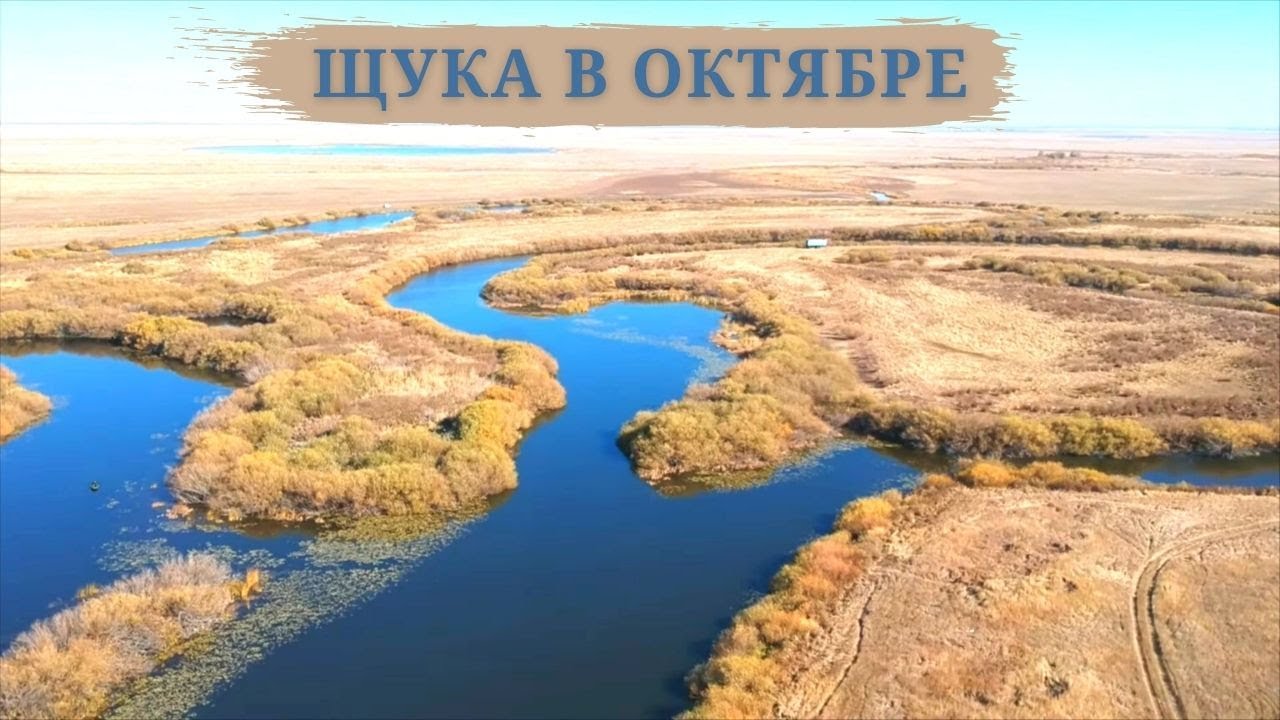 Омск ишим на машине