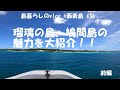 【西表島での日常】鳩間島の魅力をご紹介/Iriomote Island/Hatoma Island/vlog/#36