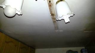 20121203 001657