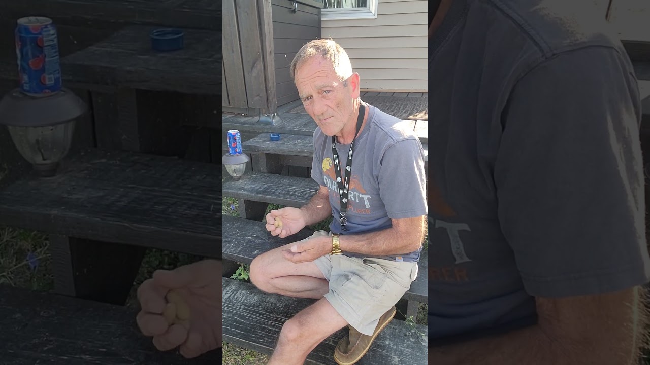 Бурундук Вуди появляется за ещё одной порцией арахиса! 