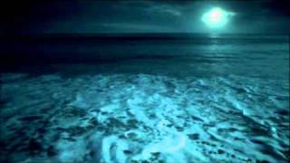 Navy SEALs 'Footprints'