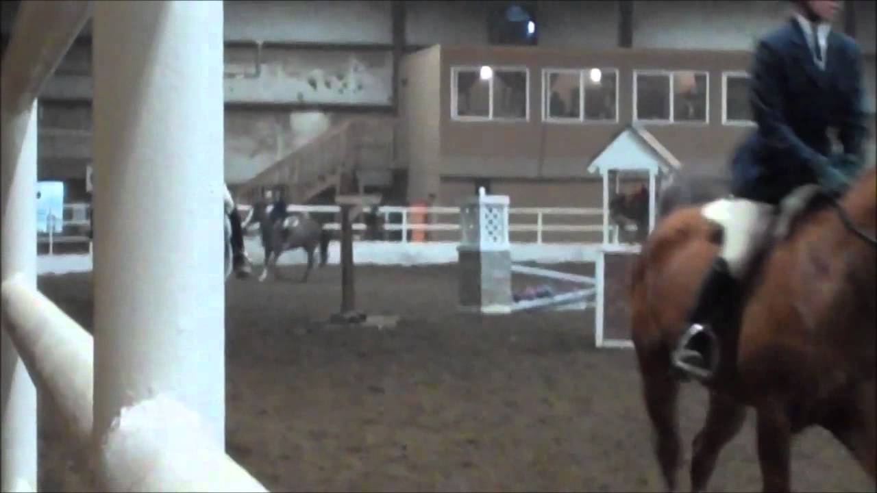 007 Hobby Horse Schooling Show March 11, 2012 YouTube