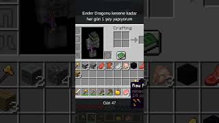 Gün 47 #4k #2b2t #minecraftshorts #minecraft #daily #gaming #mccglcc #daily