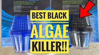 Black Algae in pool treatment that WORKS!