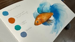 Watercolor Journal Day 46 (Betta Fish)