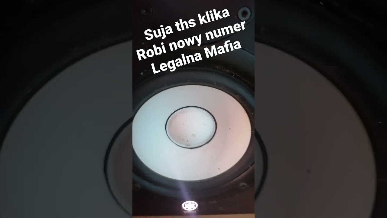 Suja THS klika LEGALNA MAFIA NUMER W W DRODZE