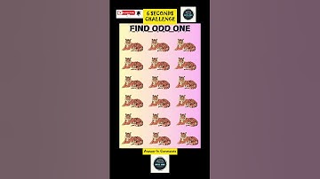 "Only Geniuses Can Find Odd ONE in 6 Seconds! 🤯🔥 #Challenge"