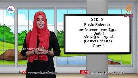 First Bell 2.0 STD 06 Basic Science Class 05