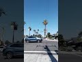 *🌴GUYS TRIMMING THE PALMS AT THE STREET🛴*🌎🧑👍"UBICATION"COVINA,HOLLENBECK AV & BADILLO AV.