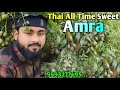 All Time Sweet Hog pulm ( Amra ) Ferming|| सदाबहार मीठा आम्र खेती||  call - 9593277495.
