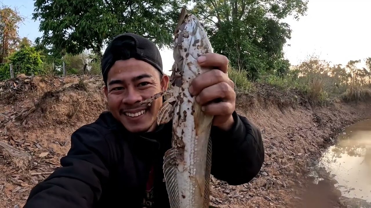 หนองสระเล็กแค่นี้ไม่คิดว่าจะมีตัวใหญ่ขนาดนี้..[ ฮ้อยถินภูไท ].11 มีนาคม ค.ศ. 2026