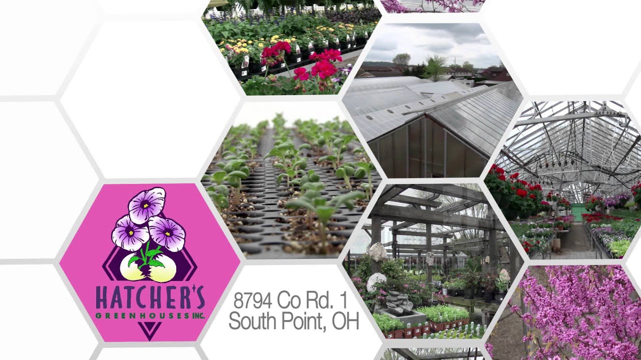 Hatchers Greenhouse 30 YouTube