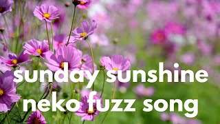 sunday sunshine neko fuzz song 