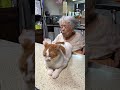 歯を磨いて口をゆすごうとしたら…