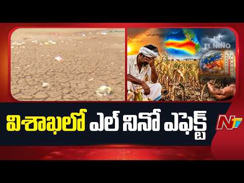 విశాఖలో ఎల్ నినో ఎఫెక్ట్ : El Niño effect in Visakhapatnam | Special Report | NTV Telugu