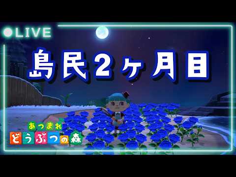 【あつ森】　試用期間中の島民代表ですやよいに会わせてください  #ゲーム実況 #作業用 #あつまれどうぶつの森