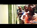 NIGERIAN ZOMBIE FatboizComedy 