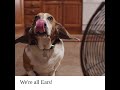 Were All Ears!