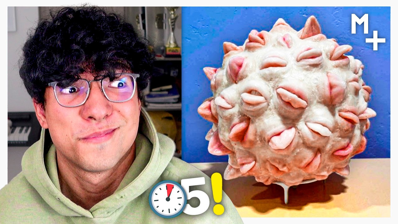 Magma Ve 50 COSAS QUE NO SABÍAS 36 😳⏰