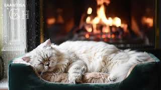 Peaceful Music for Cats – Ease Stress and Encourage Napping