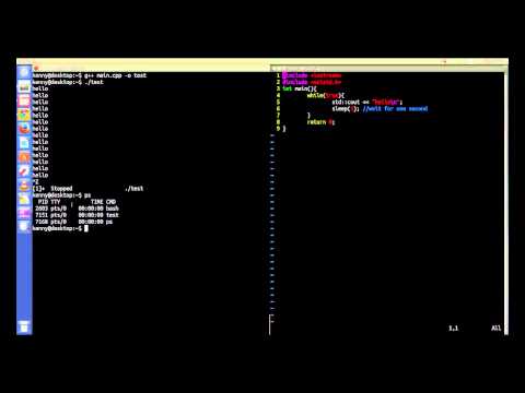 A Tutorial on Bash Command PS