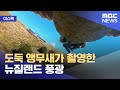 내가 찍어줄게! 카메라 채간 앵무새