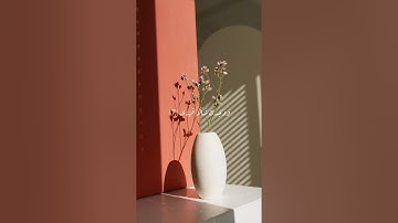 لايفوتك افضل صوت يقرأ قران القارئ نبيل الرفاعي سورة الضحى الحمدلله كثيرا