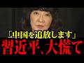 【片山さつき】※とんでもないことになりました！中国のレアアース規制に対して反撃の準備が整いました！高市早苗と日本を救います！日本人は大至急みてください！