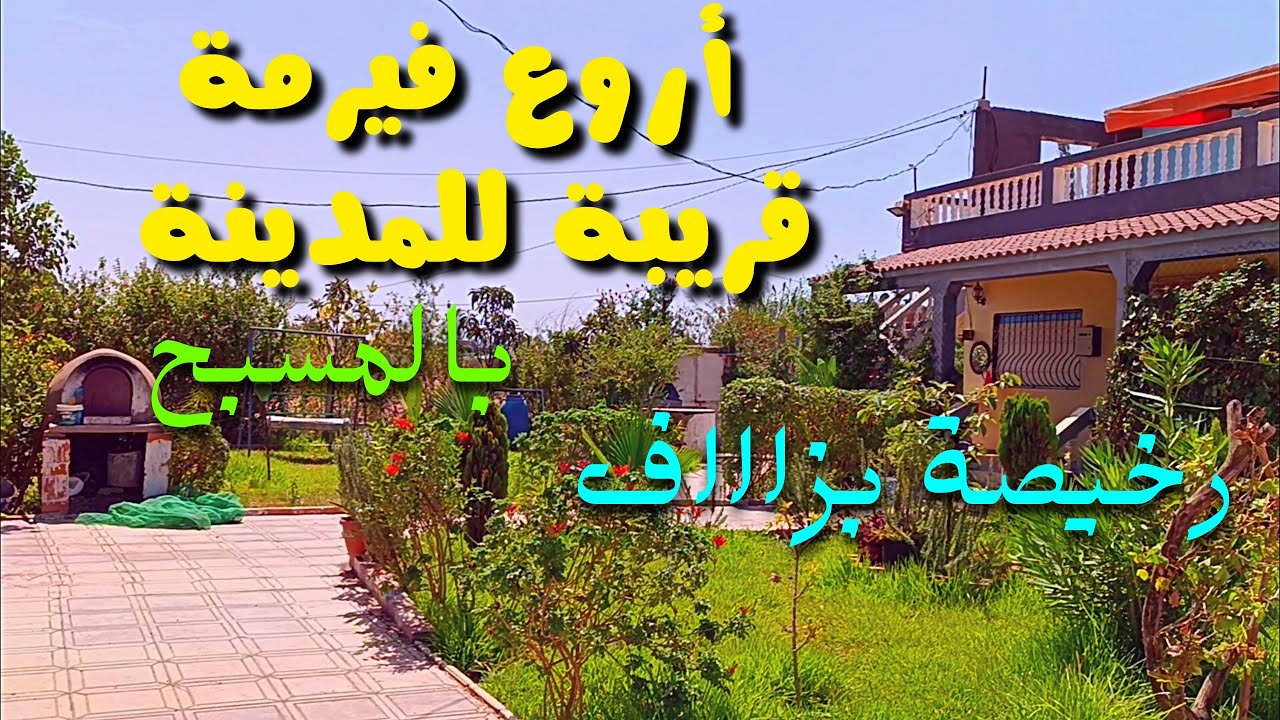 أروع فيرمة قريبة للقنيطرة بأرخص ثمن وقريبة للطريق