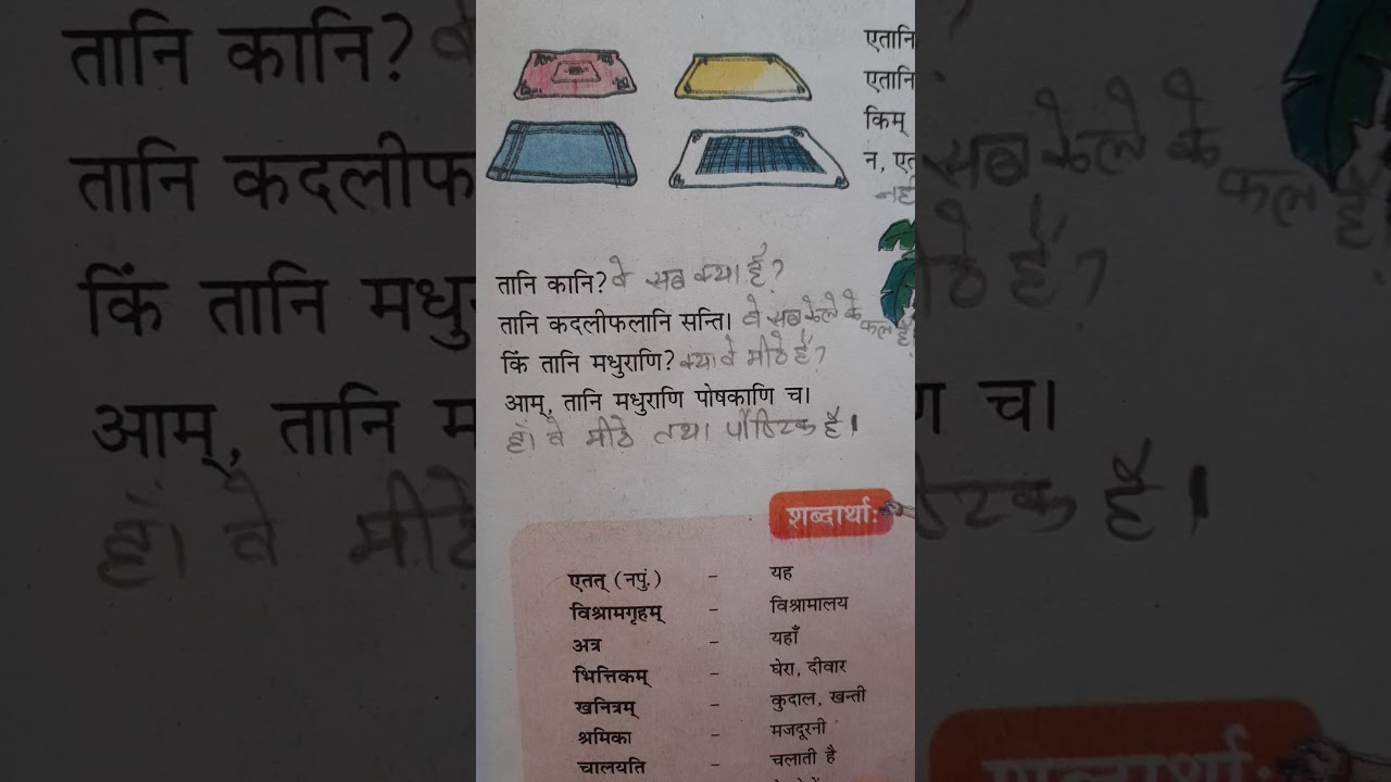 NCERT class 6 chapter 3 ki Vyakhya YouTube