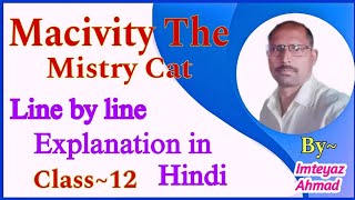 Macavity The Mystery Cat, Line By Line Explanation In Hindi T.s.eliot