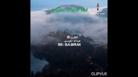عبدالله الموسى حالات واتساب، سورة الليل (والليل اذا يغشى...) ادعمنا بإعجاب وإشتراك وفعل الجرس 🔔🙏